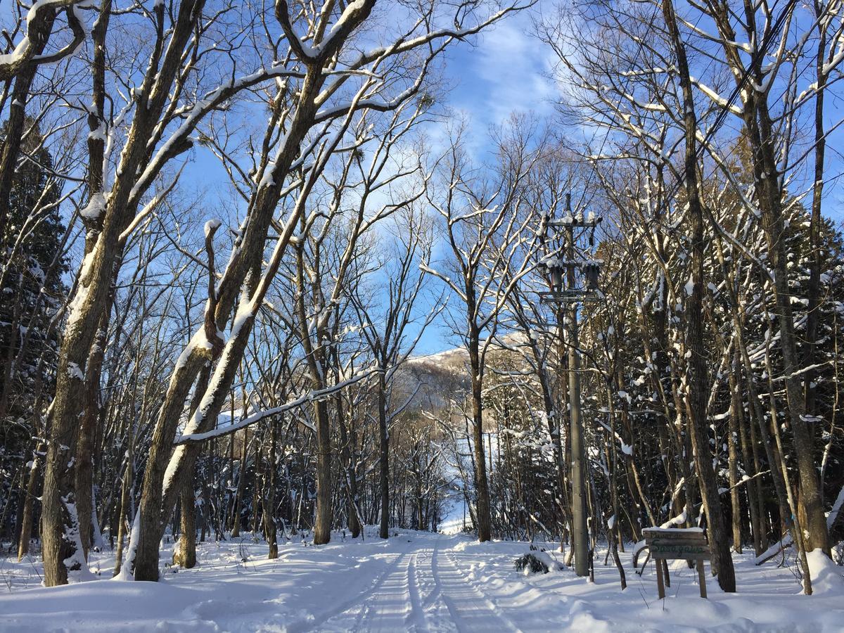 Maison De Sasagawa Hakuba Exterior photo